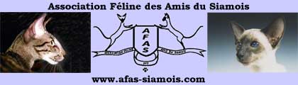 [www.info-chat-siamois.fr/]